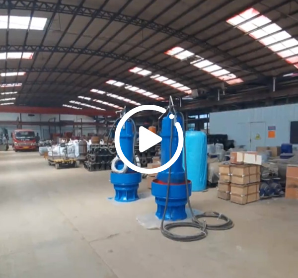 潛水軸流泵(beng)