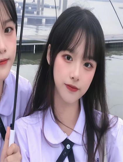 飞鹰艾迪 电影-电影法兰西女仆